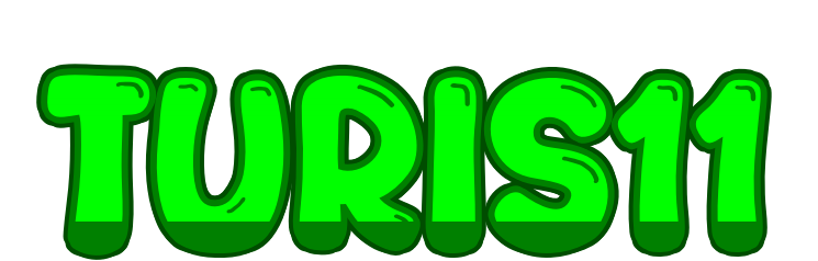 TURIS11